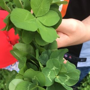 Meet your Posher, Ella